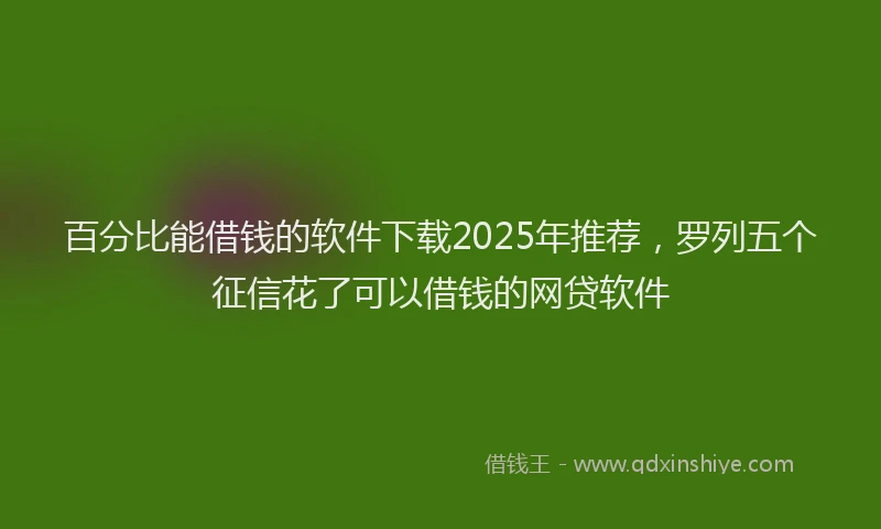 百分比能借钱的软件下载2025年推荐，罗列五个征信花了可以借钱的网贷软件