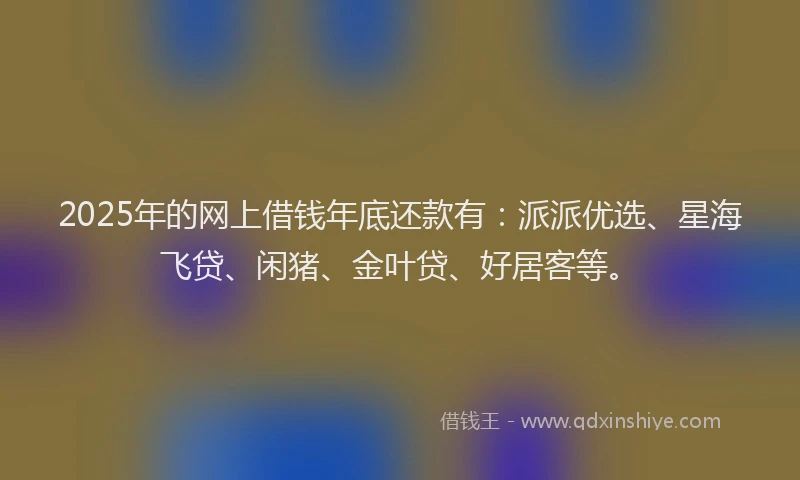 2025年的网上借钱年底还款有：派派优选、星海飞贷、闲猪、金叶贷、好居客等。