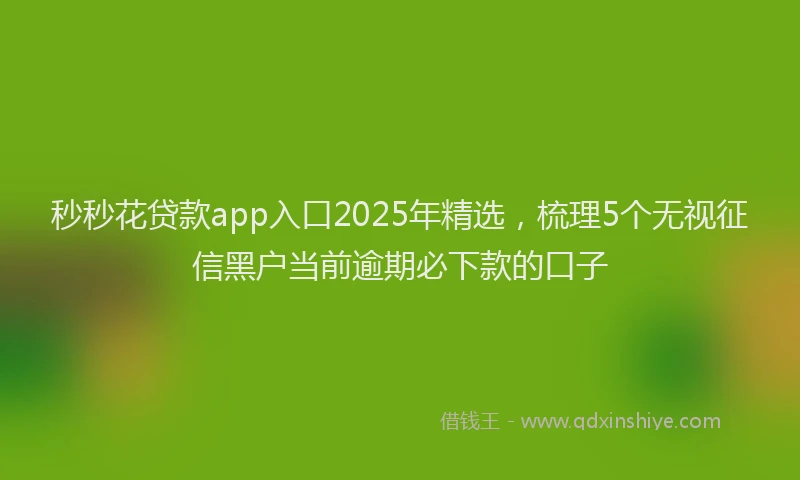 秒秒花贷款app入口2025年精选，梳理5个无视征信黑户当前逾期必下款的口子
