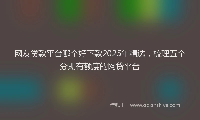 网友贷款平台哪个好下款2025年精选，梳理五个分期有额度的网贷平台