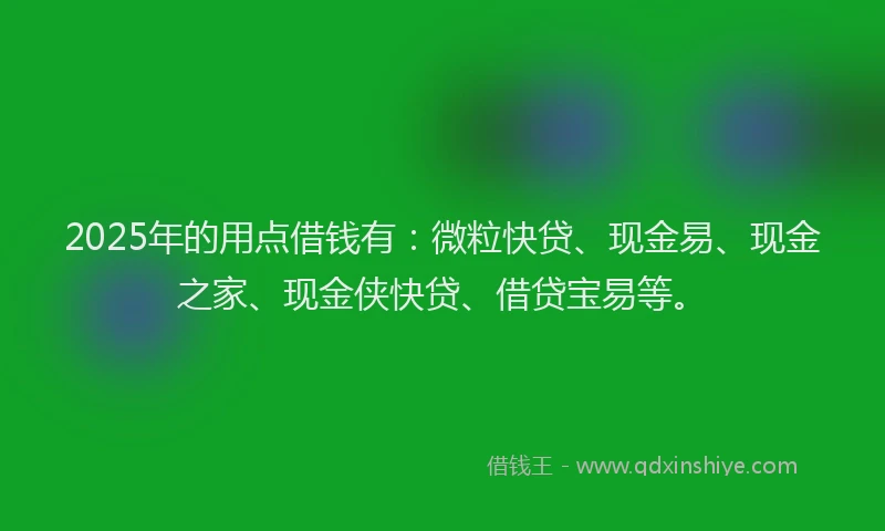 2025年的用点借钱有：微粒快贷、现金易、现金之家、现金侠快贷、借贷宝易等。