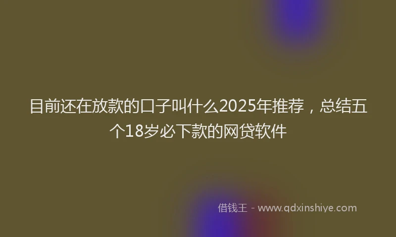 目前还在放款的口子叫什么2025年推荐，总结五个18岁必下款的网贷软件
