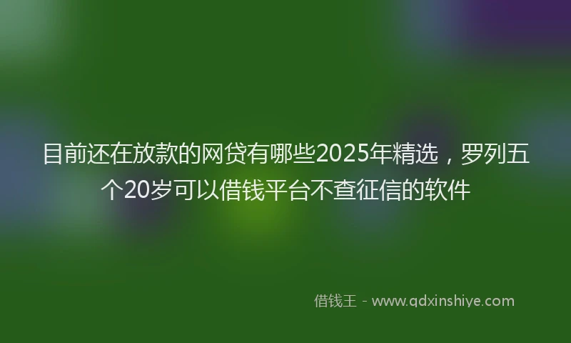 目前还在放款的网贷有哪些2025年精选，罗列五个20岁可以借钱平台不查征信的软件