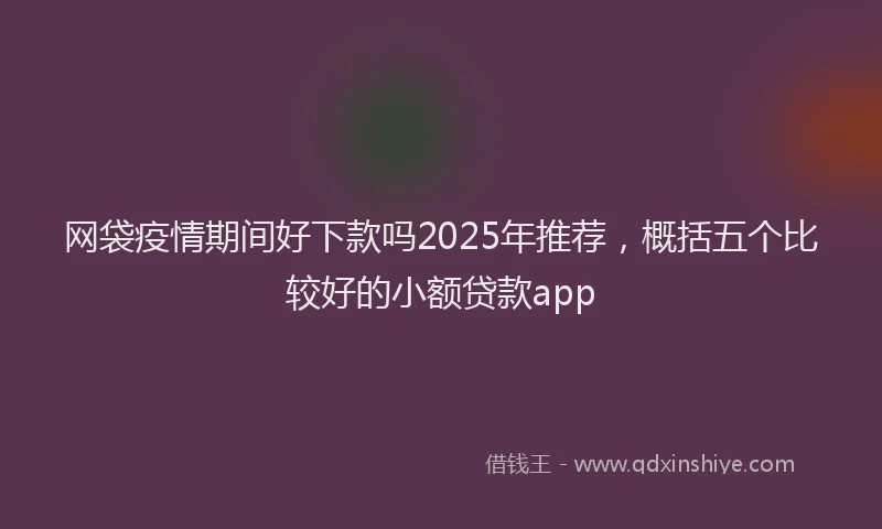 网袋疫情期间好下款吗2025年推荐，概括五个比较好的小额贷款app