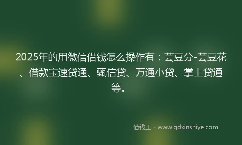 2025年的用微信借钱怎么操作有：芸豆分-芸豆花、借款宝速贷通、甄信贷、万通小贷、掌上贷通等。