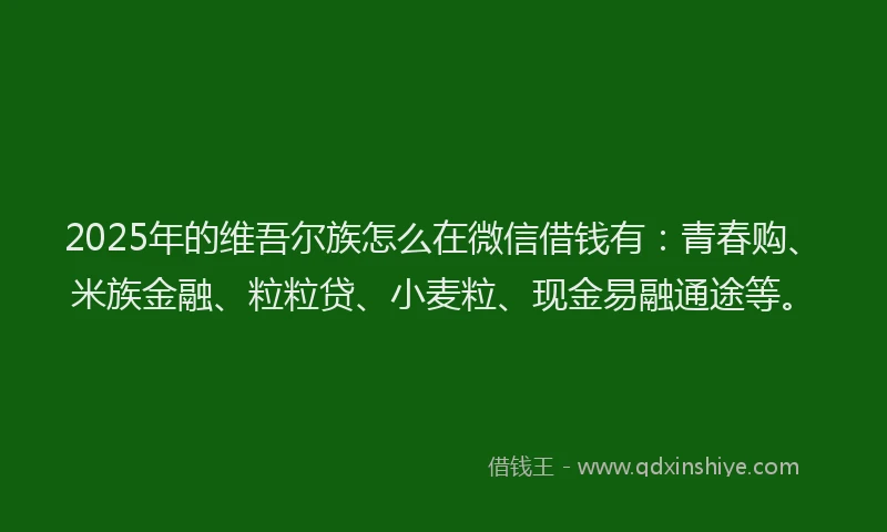 2025年的维吾尔族怎么在微信借钱有：青春购、米族金融、粒粒贷、小麦粒、现金易融通途等。