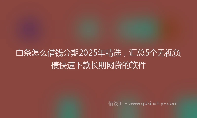 白条怎么借钱分期2025年精选，汇总5个无视负债快速下款长期网贷的软件
