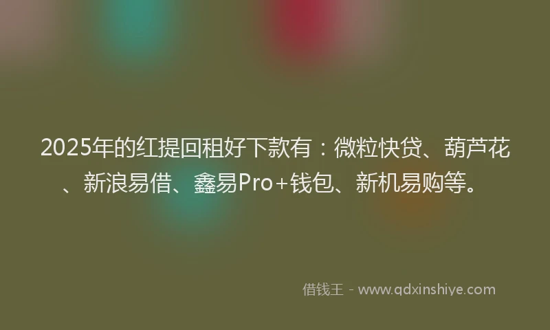 2025年的红提回租好下款有：微粒快贷、葫芦花、新浪易借、鑫易Pro+钱包、新机易购等。