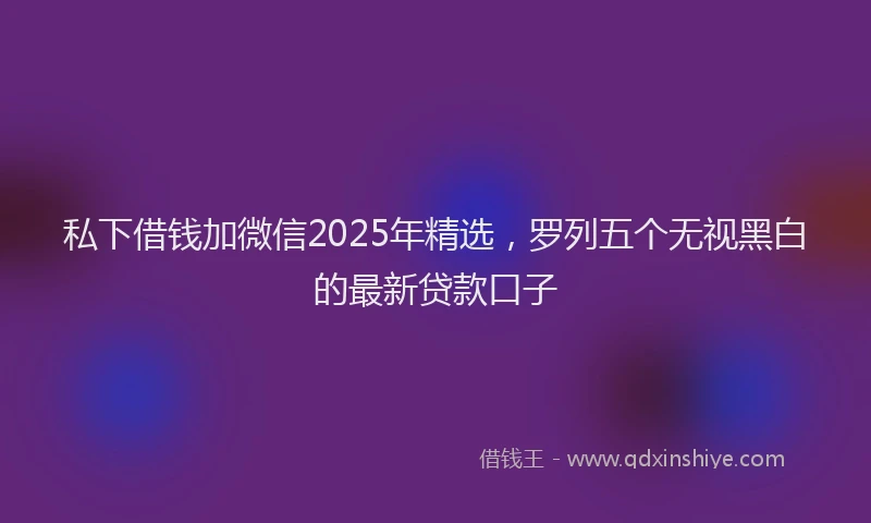 私下借钱加微信2025年精选，罗列五个无视黑白的最新贷款口子