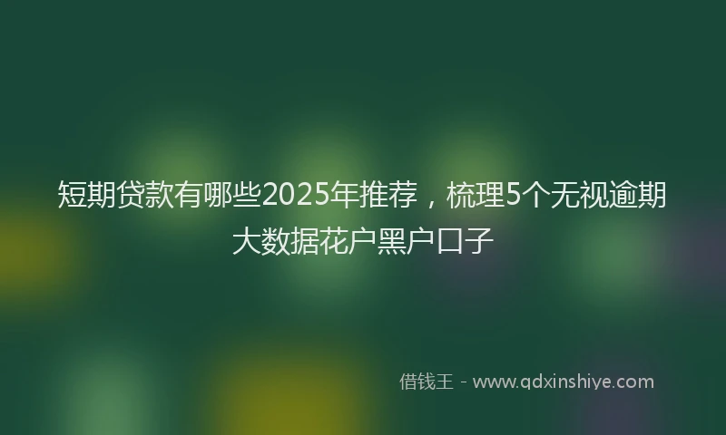 短期贷款有哪些2025年推荐，梳理5个无视逾期大数据花户黑户口子