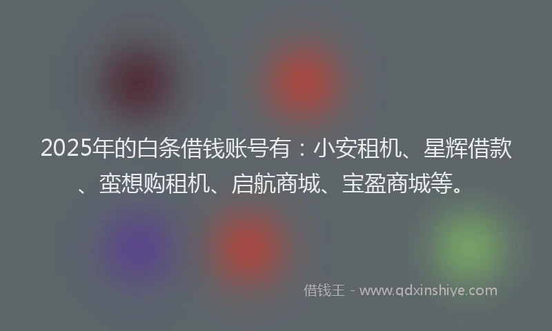 2025年的白条借钱账号有：小安租机、星辉借款、蛮想购租机、启航商城、宝盈商城等。
