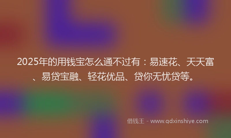 2025年的用钱宝怎么通不过有：易速花、天天富、易贷宝融、轻花优品、贷你无忧贷等。