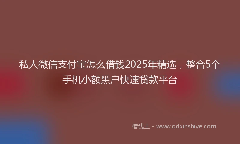 私人微信支付宝怎么借钱2025年精选，整合5个手机小额黑户快速贷款平台