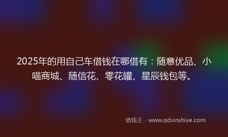 2025年的用自己车借钱在哪借有：随意优品、小喵商城、随信花、零花罐、星辰钱包等。