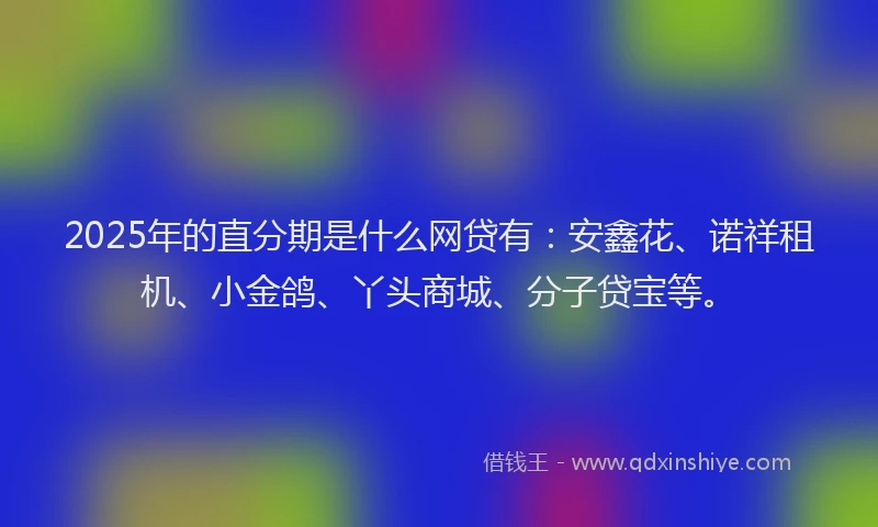 2025年的直分期是什么网贷有：安鑫花、诺祥租机、小金鸽、丫头商城、分子贷宝等。
