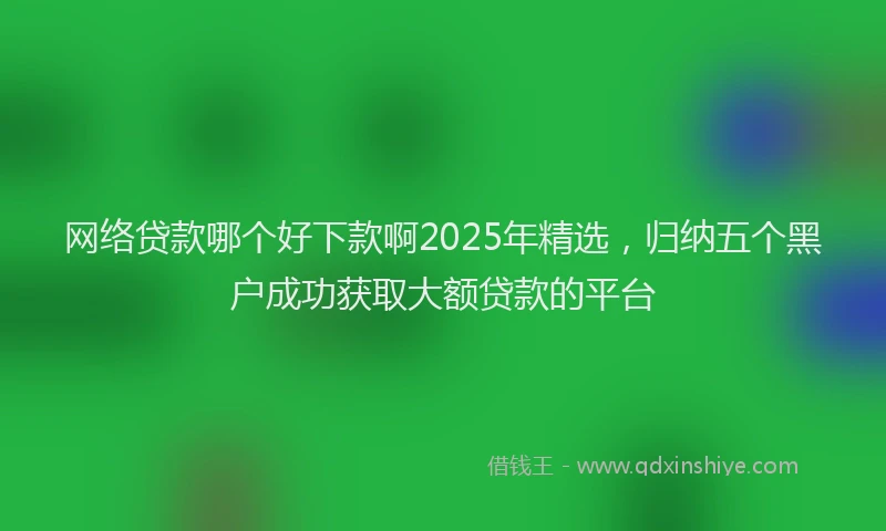 网络贷款哪个好下款啊2025年精选，归纳五个黑户成功获取大额贷款的平台