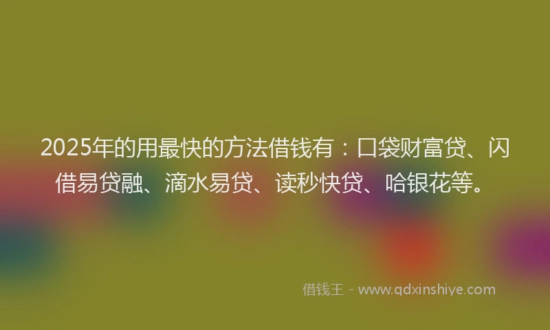 2025年的用最快的方法借钱有：口袋财富贷、闪借易贷融、滴水易贷、读秒快贷、哈银花等。