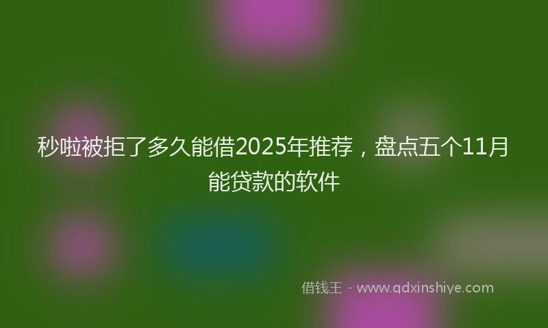 秒啦被拒了多久能借2025年推荐，盘点五个11月能贷款的软件