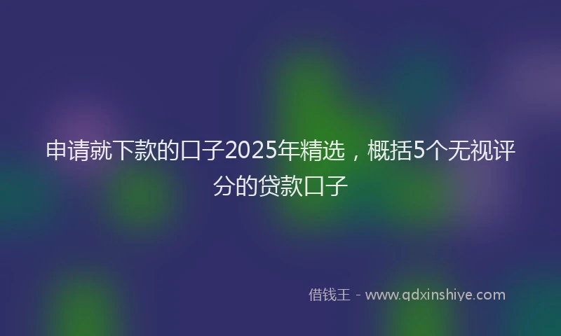 申请就下款的口子2025年精选，概括5个无视评分的贷款口子