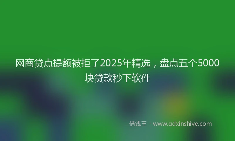 网商贷点提额被拒了2025年精选，盘点五个5000块贷款秒下软件