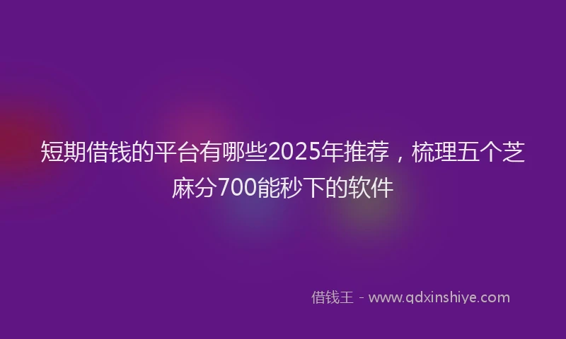 短期借钱的平台有哪些2025年推荐，梳理五个芝麻分700能秒下的软件