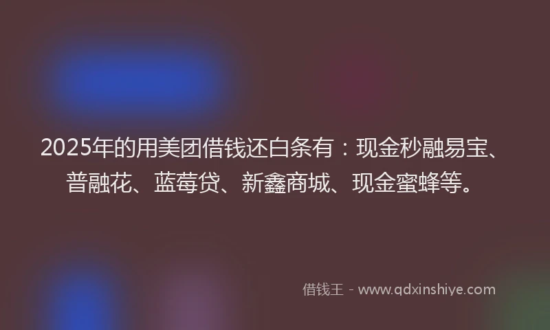 2025年的用美团借钱还白条有：现金秒融易宝、普融花、蓝莓贷、新鑫商城、现金蜜蜂等。