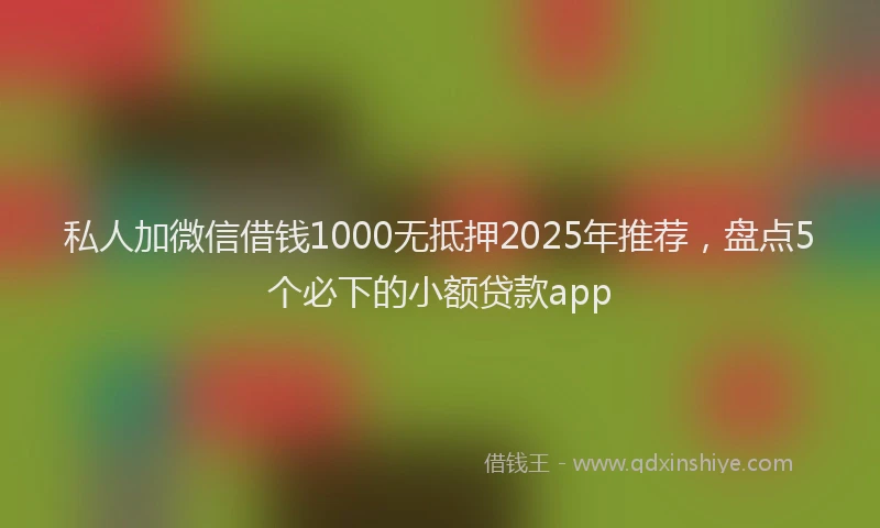 私人加微信借钱1000无抵押2025年推荐，盘点5个必下的小额贷款app