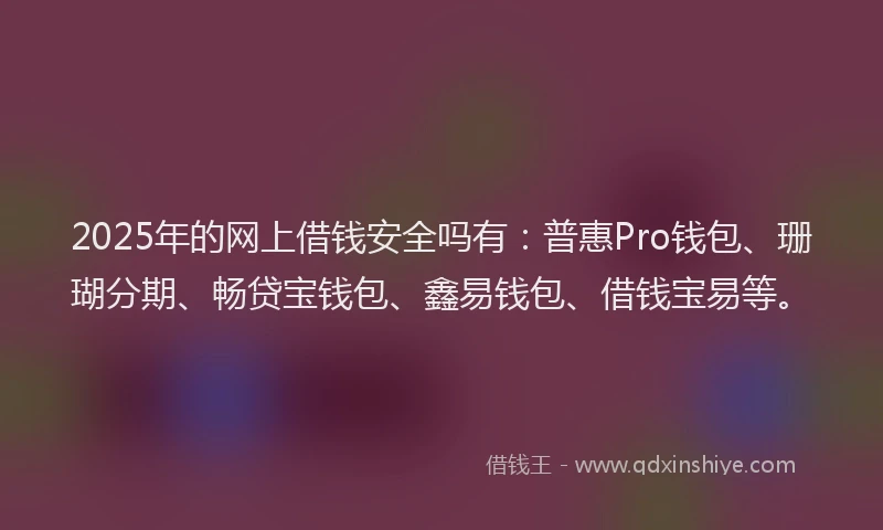 2025年的网上借钱安全吗有：普惠Pro钱包、珊瑚分期、畅贷宝钱包、鑫易钱包、借钱宝易等。