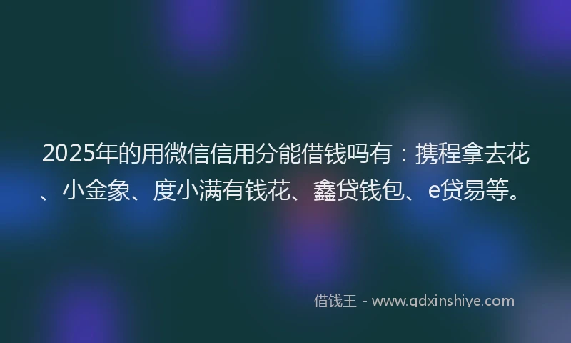 2025年的用微信信用分能借钱吗有：携程拿去花、小金象、度小满有钱花、鑫贷钱包、e贷易等。