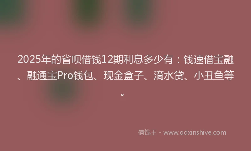 2025年的省呗借钱12期利息多少有：钱速借宝融、融通宝Pro钱包、现金盒子、滴水贷、小丑鱼等。
