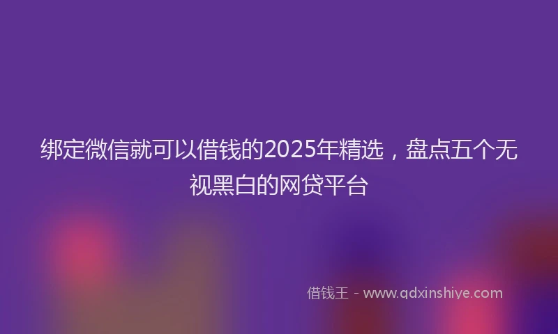 绑定微信就可以借钱的2025年精选，盘点五个无视黑白的网贷平台