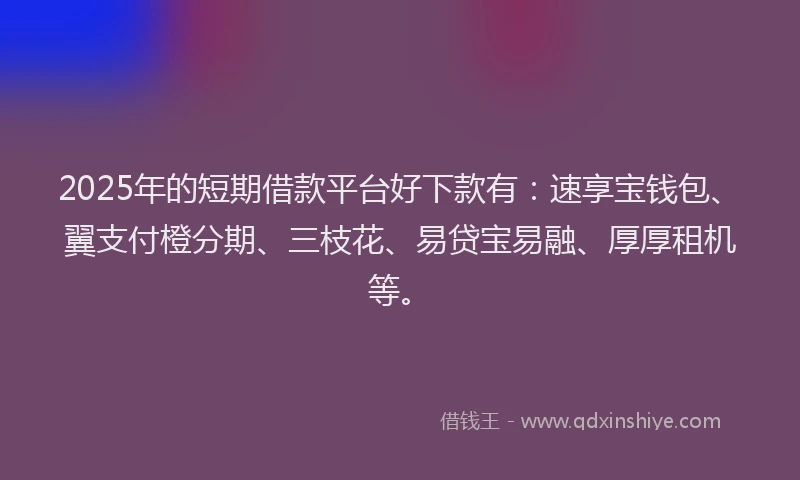 2025年的短期借款平台好下款有：速享宝钱包、翼支付橙分期、三枝花、易贷宝易融、厚厚租机等。