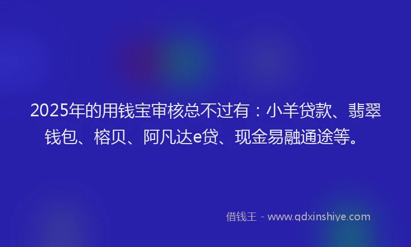 2025年的用钱宝审核总不过有：小羊贷款、翡翠钱包、榕贝、阿凡达e贷、现金易融通途等。