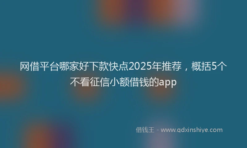 网借平台哪家好下款快点2025年推荐，概括5个不看征信小额借钱的app