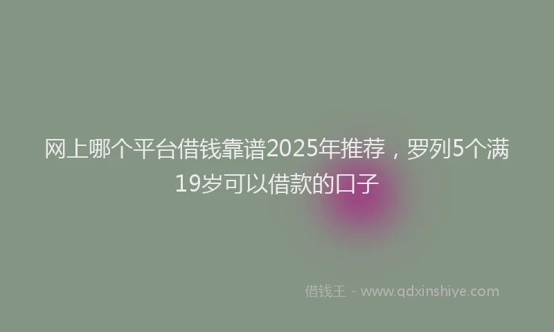 网上哪个平台借钱靠谱2025年推荐，罗列5个满19岁可以借款的口子
