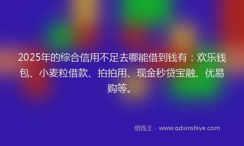 2025年的综合信用不足去哪能借到钱有：欢乐钱包、小麦粒借款、拍拍用、现金秒贷宝融、优易购等。