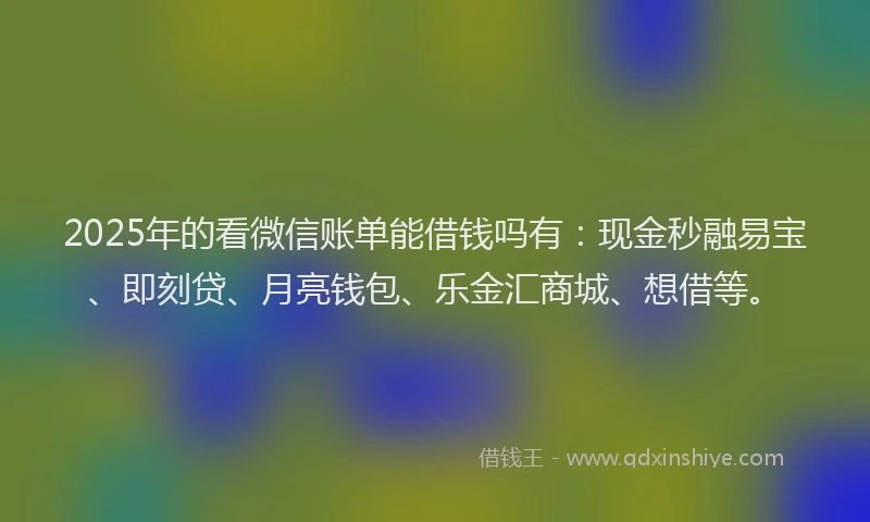 2025年的看微信账单能借钱吗有：现金秒融易宝、即刻贷、月亮钱包、乐金汇商城、想借等。