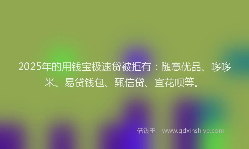 2025年的用钱宝极速贷被拒有：随意优品、哆哆米、易贷钱包、甄信贷、宜花呗等。