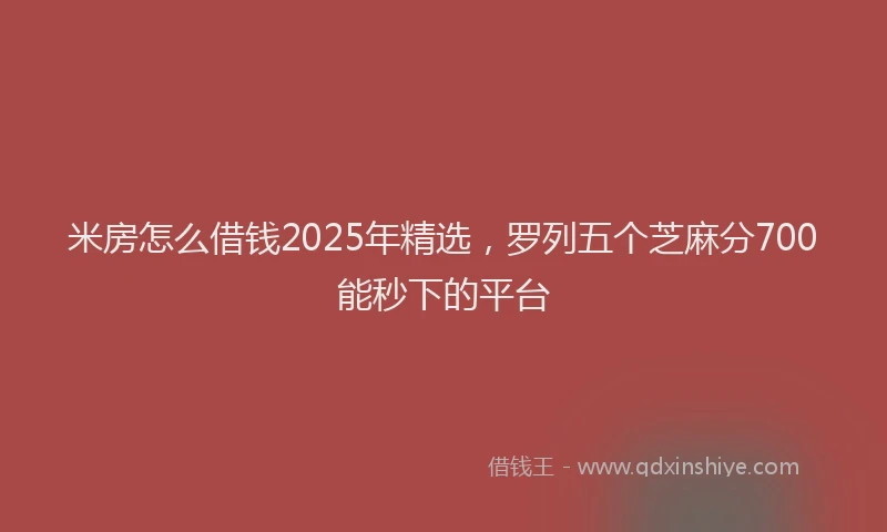 米房怎么借钱2025年精选，罗列五个芝麻分700能秒下的平台