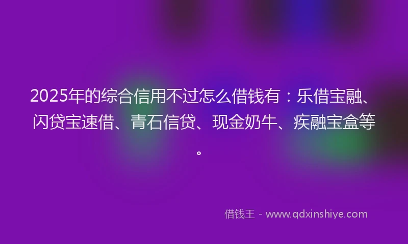 2025年的综合信用不过怎么借钱有：乐借宝融、闪贷宝速借、青石信贷、现金奶牛、疾融宝盒等。