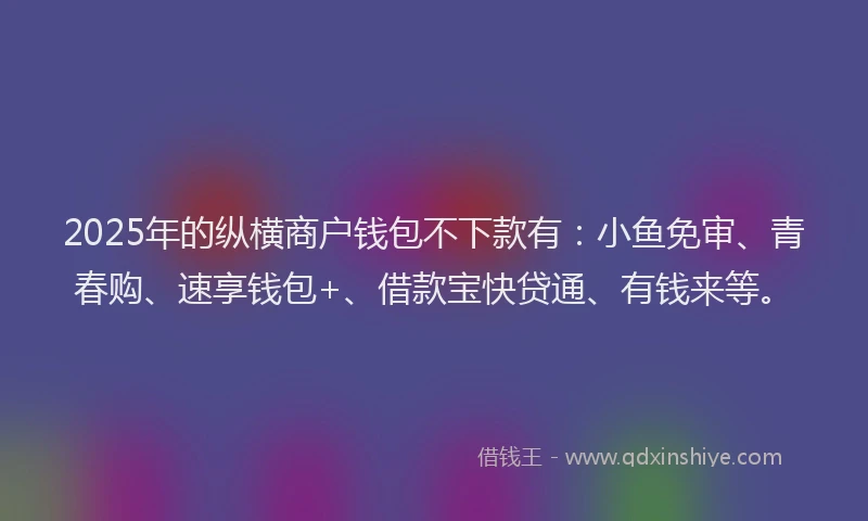2025年的纵横商户钱包不下款有：小鱼免审、青春购、速享钱包+、借款宝快贷通、有钱来等。