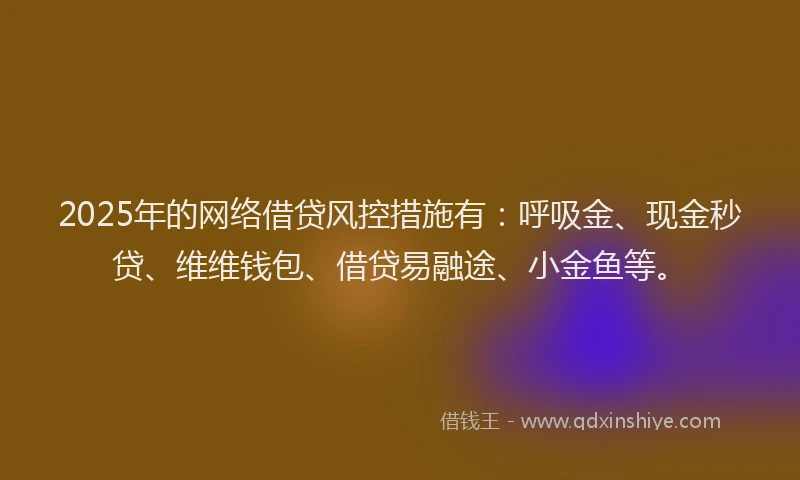 2025年的网络借贷风控措施有：呼吸金、现金秒贷、维维钱包、借贷易融途、小金鱼等。