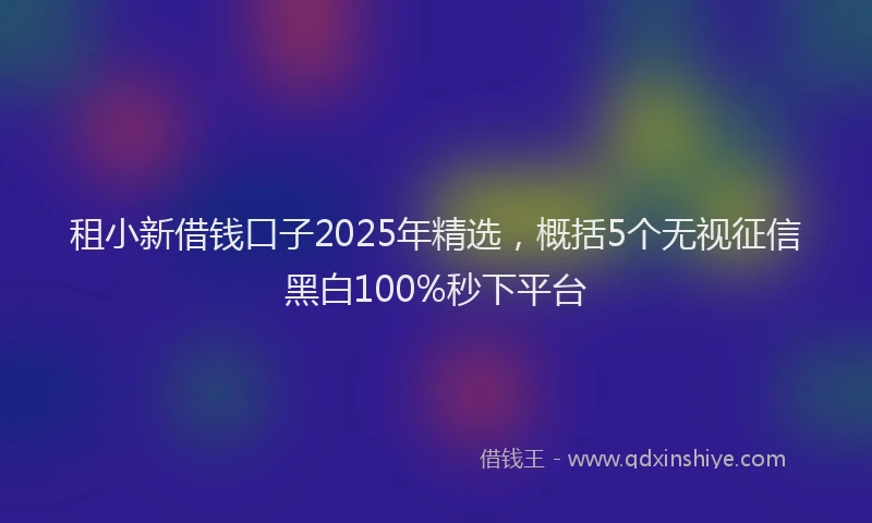 租小新借钱口子2025年精选，概括5个无视征信黑白100%秒下平台