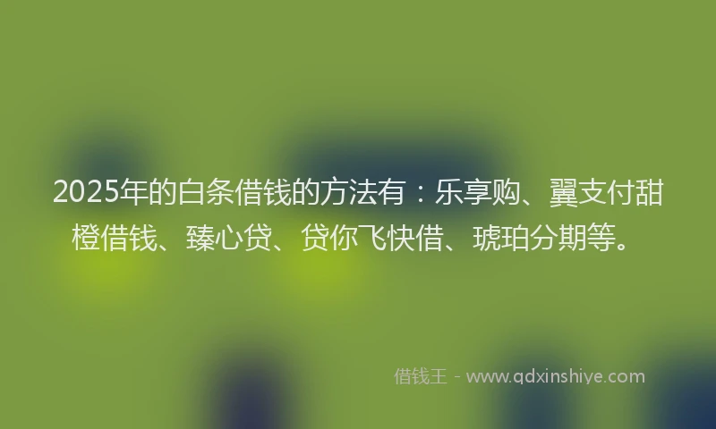 2025年的白条借钱的方法有：乐享购、翼支付甜橙借钱、臻心贷、贷你飞快借、琥珀分期等。
