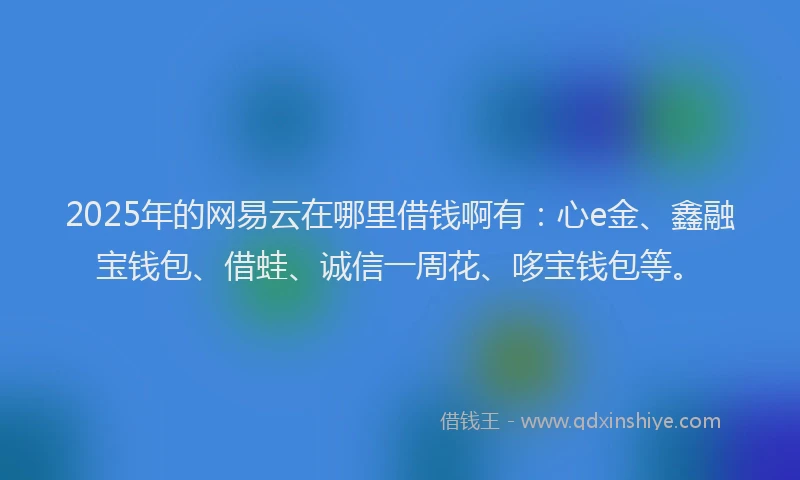 2025年的网易云在哪里借钱啊有：心e金、鑫融宝钱包、借蛙、诚信一周花、哆宝钱包等。