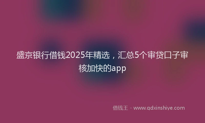 盛京银行借钱2025年精选，汇总5个审贷口子审核加快的app
