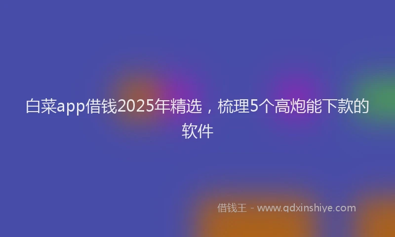 白菜app借钱2025年精选，梳理5个高炮能下款的软件