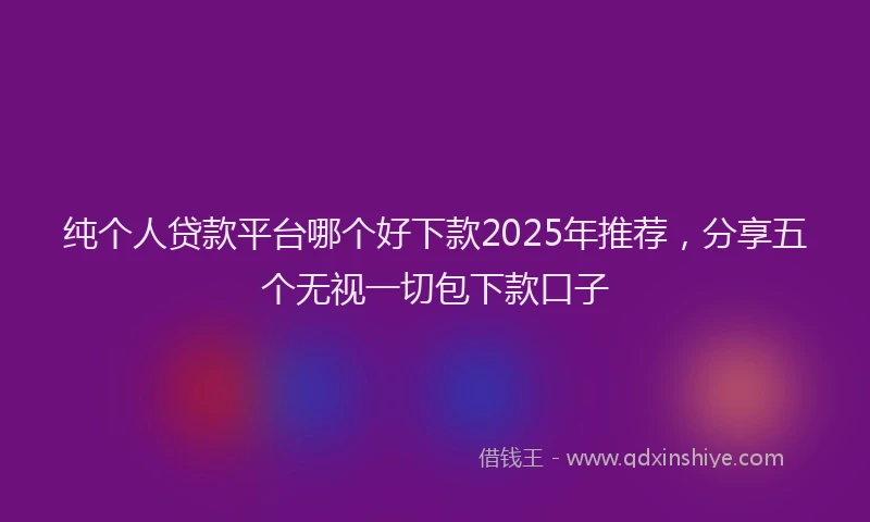 纯个人贷款平台哪个好下款2025年推荐，分享五个无视一切包下款口子