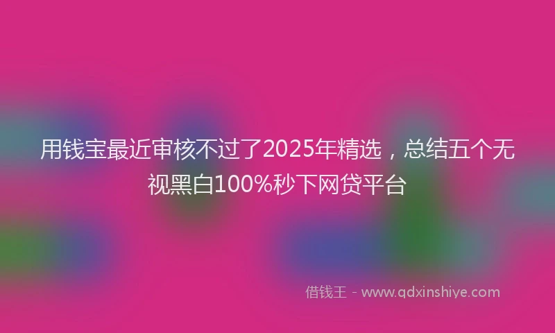 用钱宝最近审核不过了2025年精选，总结五个无视黑白100%秒下网贷平台