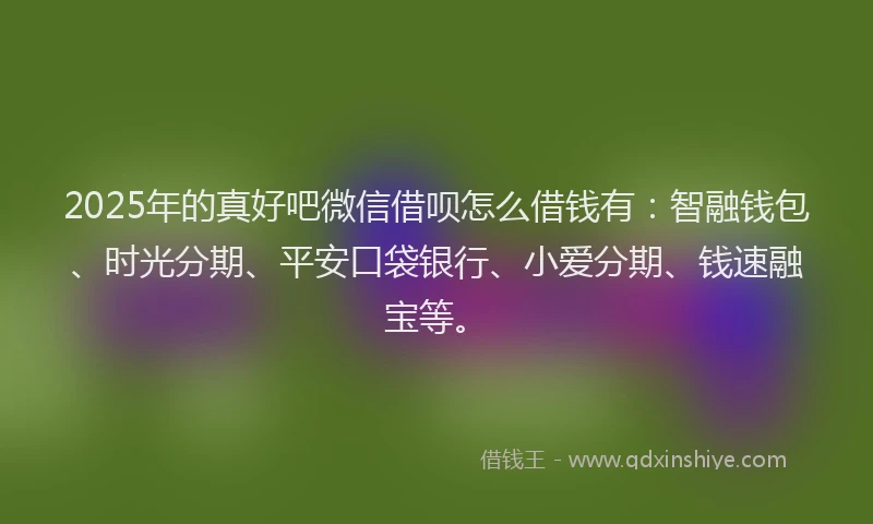 2025年的真好吧微信借呗怎么借钱有：智融钱包、时光分期、平安口袋银行、小爱分期、钱速融宝等。